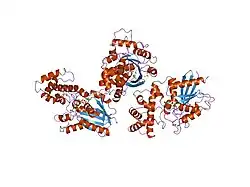 1tad: GTPASE MECHANISM OF GPROTEINS FROM THE 1.7-ANGSTROM CRYSTAL STRUCTURE OF TRANSDUCIN ALPHA-GDP-ALF4-