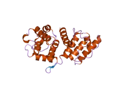 1tjt: X-ray structure of the human alpha-actinin isoform 3 at 2.2A resolution