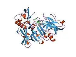 1tqf: Crystal structure of human Beta secretase complexed with inhibitor