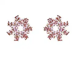 1tzn: Crystal Structure of the Anthrax Toxin Protective Antigen Heptameric Prepore bound to the VWA domain of CMG2, an anthrax toxin receptor