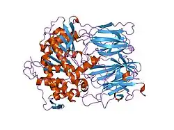 1uoq: PROLYL OLIGOPEPTIDASE FROM PORCINE BRAIN, S554A MUTANT WITH BOUND PEPTIDE LIGAND GLU-PHE-SER-PRO