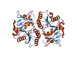 1v84: Crystal structure of human GlcAT-P in complex with N-acetyllactosamine, Udp, and Mn2+