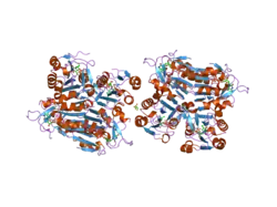 1w4r: STRUCTURE OF A TYPE II THYMIDINE KINASE WITH BOUND DTTP