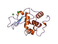 1wqr: CONTRIBUTION OF HYDROGEN BONDS TO THE CONFORMATIONAL STABILITY OF HUMAN LYSOZYME