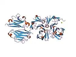 1xed: Crystal Structure of a Ligand-Binding Domain of the Human Polymeric Ig Receptor, pIgR