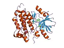 1xkk: EGFR kinase domain complexed with a quinazoline inhibitor- GW572016