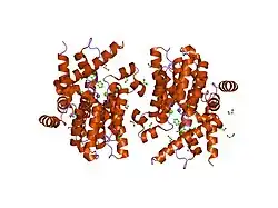 1y2c: Catalytic Domain Of Human Phosphodiesterase 4D In Complex With 3,5-dimethyl-1-phenyl-1H-pyrazole-4-carboxylic acid ethyl ester