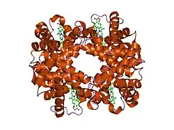 1y45: T-To-T(high) quaternary transitions in human hemoglobin: betaP36A deoxy low-salt (10 test sets)