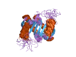 1y4o: Solution structure of a mouse cytoplasmic Roadblock/LC7 dynein light chain