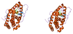 1y9r: Crystal structure of the human mineralocorticoid receptor ligand-binding domain bound to deoxycorticosterone and harboring the S810L mutation responsible for a severe form of hypertension