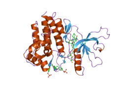 1yvj: Crystal structure of the Jak3 kinase domain in complex with a staurosporine analogue