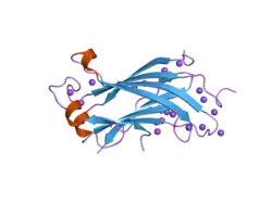 1yy6: The crystal structure of the N-terminal domain of HAUSP/USP7 complexed with an EBNA1 peptide