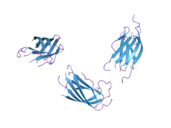 1yze: Crystal structure of the N-terminal domain of USP7/HAUSP.