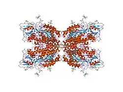 1z8l: Crystal structure of prostate-specific membrane antigen, a tumor marker and peptidase