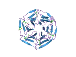 1zgk: 1.35 angstrom structure of the Kelch domain of Keap1