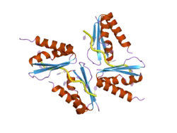 1ztg: human alpha polyC binding protein KH1