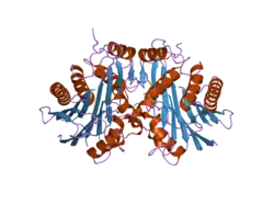 2a8l: Crystal structure of Human Taspase1 (T234A mutant)