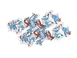 2ak4: Crystal Structure of SB27 TCR in complex with HLA-B*3508-13mer peptide