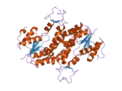 2ar7: Crystal structure of human adenylate kinase 4, AK4