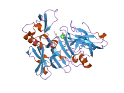 2b8l: Crystal structure of human beta secretase complexed with inhibitor
