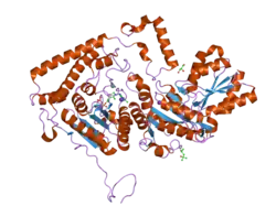 2bfe: REACTIVITY MODULATION OF HUMAN BRANCHED-CHAIN ALPHA-KETOACID DEHYDROGENASE BY AN INTERNAL MOLECULAR SWITCH