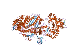 2bkh: MYOSIN VI NUCLEOTIDE-FREE (MDINSERT2) CRYSTAL STRUCTURE