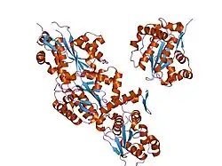2bkq: NEDD8 PROTEASE