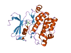 2bzk: CRYSTAL STRUCTURE OF THE HUMAN PIM1 IN COMPLEX WITH AMPPNP AND PIMTIDE