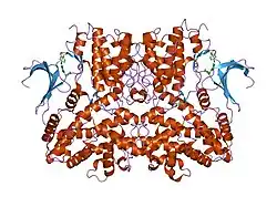 2c6t: CRYSTAL STRUCTURE OF THE HUMAN CDK2 COMPLEXED WITH THE TRIAZOLOPYRIMIDINE INHIBITOR