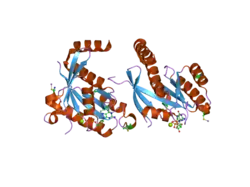 2cjw: CRYSTAL STRUCTURE OF THE SMALL GTPASE GEM (GEMDNDCAM) IN COMPLEX TO MG.GDP