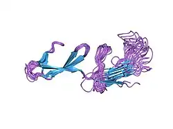 2cku: SOLUTION STRUCTURE OF 2F13F1 FROM HUMAN FIBRONECTIN