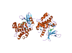 2clq: STRUCTURE OF MITOGEN-ACTIVATED PROTEIN KINASE KINASE KINASE 5