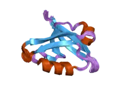 2dc2: Solution Structure of PDZ Domain