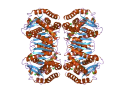 2dfd: Crystal Structure of Human Malate Dehydrogenase Type 2