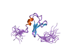 2dk7: Solution structure of WW domain in transcription elongation regulator 1