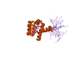 2dk9: Solution structure of Calponin Homology domain of Human MICAL-1