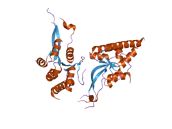 2dok: Crystal structure of the PIN domain of human EST1A