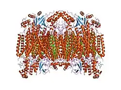 2dys: Bovine heart cytochrome C oxidase modified by DCCD