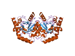 2eaw: Human UMP Synthase (C-terminal Domain- Orotidine 5'-Monophosphate Decarboxylase)