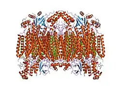 2eij: Bovine heart cytochrome C oxidase in the fully reduced state