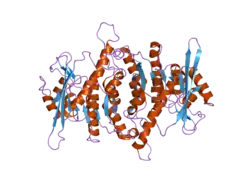 2f7k: Crystal Structure of Human Pyridoxal Kinase