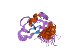 2fnf: C1 domain of Nore1