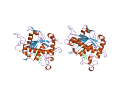 2fv5: Crystal structure of TACE in complex with IK682