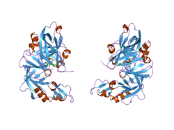 2g21: Ketopiperazine-Based Renin Inhibitors: Optimization of the ""C"" Ring