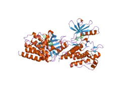 2g2h: A Src-like Inactive Conformation in the Abl Tyrosine Kinase Domain