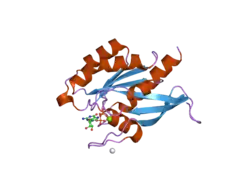 2gf9: Crystal structure of human RAB3D in complex with GDP