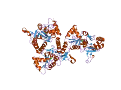 2gfe: Crystal structure of the GluR2 A476E S673D Ligand Binding Core Mutant at 1.54 Angstroms Resolution