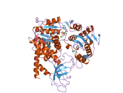 2gjk: Structural and functional insights into the human Upf1 helicase core