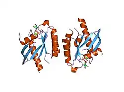 2gjs: The crystal structure of human RRAD in complex with GDP