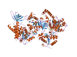 2gk6: Structural and Functional insights into the human Upf1 helicase core